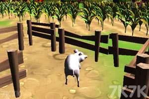 《小猪农场觅食》游戏画面2