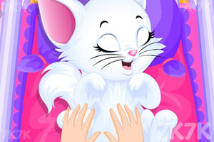 《可爱小喵喵》游戏画面4