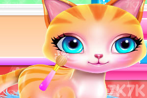 《我可爱的小猫》游戏画面2