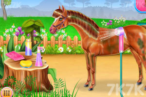 《小马护理和骑马》游戏画面5