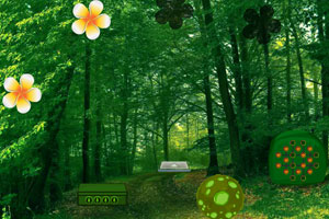 《茂盛绿林逃脱》游戏画面1