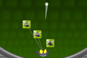 《蜘蛛捕食苍蝇》游戏画面1