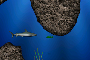 《失落的鲨鱼》游戏画面1