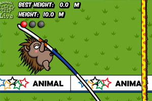 《动物奥运会之跳高》游戏画面1