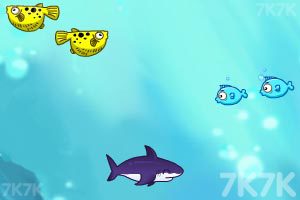 《饥饿的鲨鱼》游戏画面5