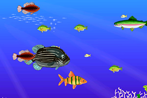 《双人版大鱼吃小鱼》游戏画面1
