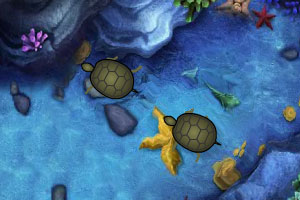 《领养小乌龟》游戏画面1