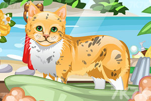 《可爱猫咪护理》游戏画面1