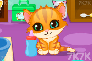 《小猫咪日常护理》游戏画面4