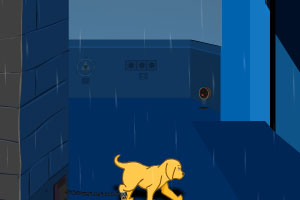 雨天救小狗
