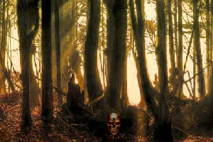 《逃离恐怖的森林》游戏画面1