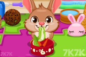 《照顾可爱的小兔子》游戏画面2