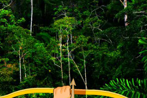 《亚马逊森林的隐藏靶子》游戏画面1