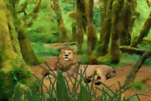 《狮王森林逃脱》游戏画面1