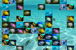 《热带鱼连连看》游戏画面1