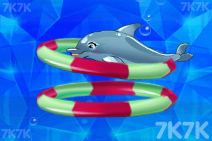 《魅力海豚展8》游戏画面5