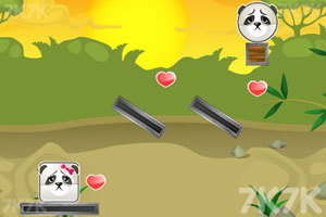《熊猫的爱情》游戏画面4