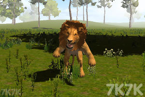 《模拟动物人生3》游戏画面5