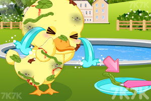 《可爱的小鸭子》游戏画面2