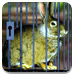 兔子逃出森林铁笼