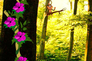 《浣熊逃离森林》游戏画面1