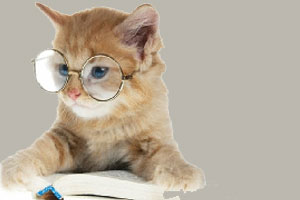 《戴眼镜的小猫》游戏画面1