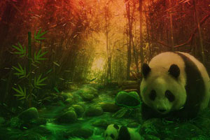 《逃出大熊猫森林》游戏画面1