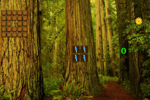 《红杉森林公园逃脱》游戏画面1