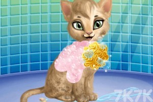 《猫猫美容店》游戏画面1