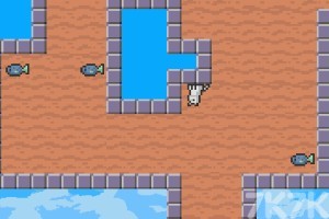 《猫吃鱼》游戏画面4