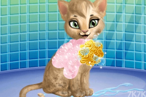 《猫猫美容店》游戏画面1