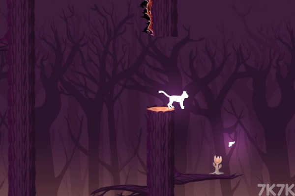 《森林猫》游戏画面1